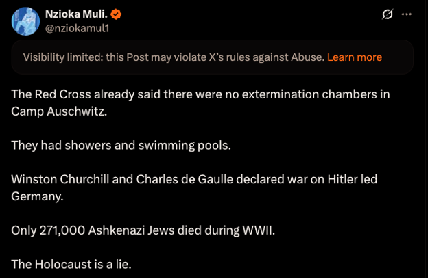 Screenshot of an X (Twitter) post.
The author is “Nzioka Muli.” (blue-check verified, handle @nziokamul1).
A grey banner across the top states: “Visibility limited: this Post may violate X’s rules against Abuse. Learn more.”

The tweet’s text, in white on a black background, reads:

“The Red Cross already said there were no extermination chambers in Camp Auschwitz.

They had showers and swimming pools.

Winston Churchill and Charles de Gaulle declared war on Hitler led Germany.

Only 271,000 Ashkenazi Jews died during WWII.

The Holocaust is a lie.”