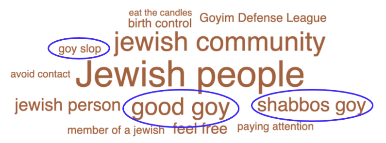 Word cloud of the top phrases used with “goy” on social media since 2010, including “good goy,” “shabbos goy,” and references to Jewish community.