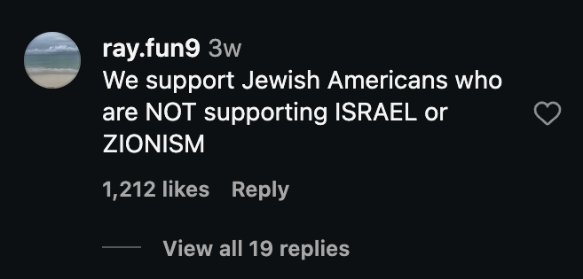 Example reply classified as opposed to JAHM but not antisemitic.