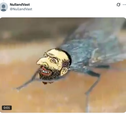 Animated image showing a fly with the antisemitic "Happy Merchant" caricature superimposed onto its head. The meme uses the caricature to dehumanize Jewish people by depicting them as pests or vermin, a recurring theme in antisemitic propaganda and extremist online content.