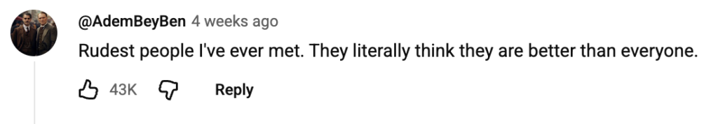 YouTube comment reading, "Rudest people I've ever met. They literally think they are better than everyone."